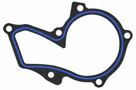 Pump Gasket